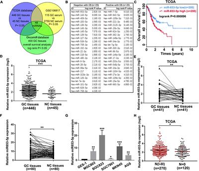 MicroRNA-653-5p Promotes Gastric Cancer Proliferation and Metastasis by Targeting the SOCS6-STAT3 Pathway